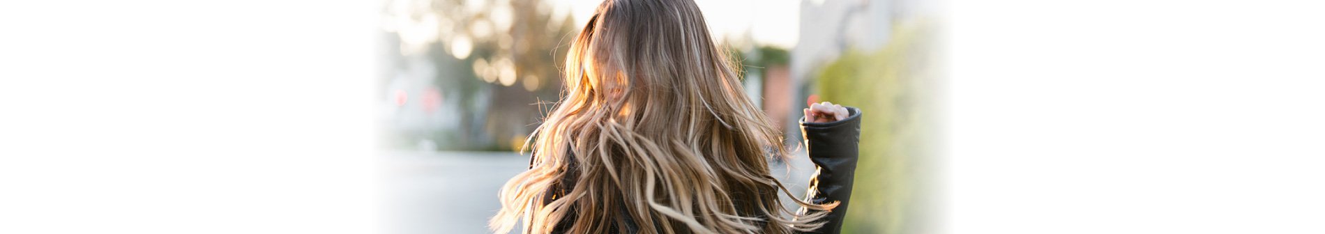 article image banner