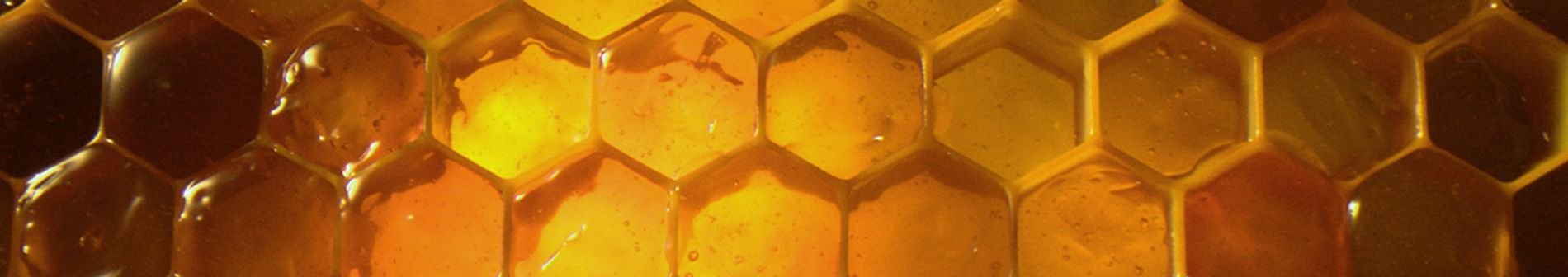 Φροντίδα μαλλιών στο σπίτι Garnier Botanic Therapy & Honey Treasures για φθαρμένα μαλλιά