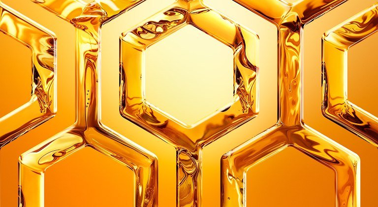 Garnier Haircare Honey