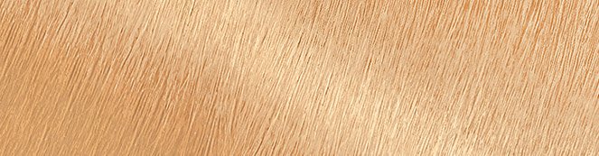 very light blonde swacth