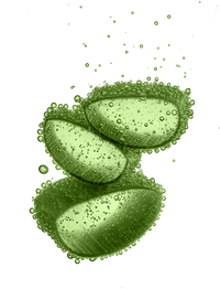 ingredient aloe vera fructis