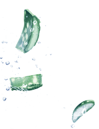 ingredient-aloe