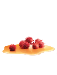 ingredient-castoroil