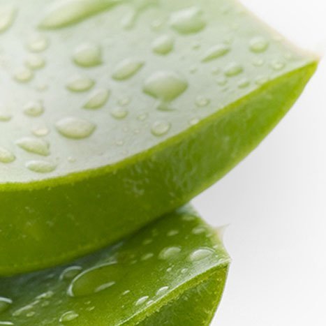 Aloevera ingredient image