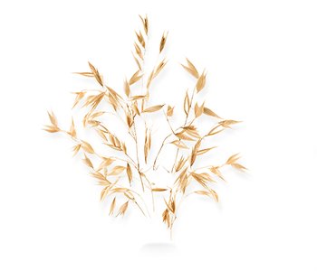 ΒΡΩΜΗ: Η ΑΓΑΠΗΜΕΝΗ ΤΩΝ ΔΕΡΜΑΤΟΛΟΓΩΝ