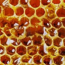 Propolis ingredient image