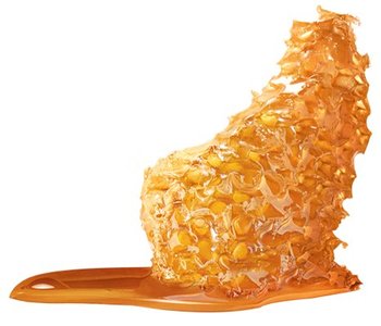 ΟΙ ΧΡΗΣΕΙΣ ΚΑΙ ΤΑ ΟΦΕΛΗ ΤΗΣ ΠΡΟΠΟΛΗΣ ΣΤΟ ΣΩΜΑ ΜΑΣ