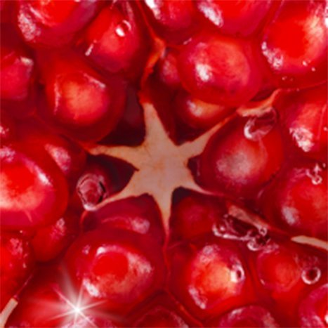 pomegranate ingredient image