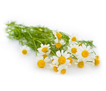 ΤΑ ΟΦΕΛΗ ΤΟΥ ΧΑΜΟΜΗΛΙΟΥ ΓΙΑ ΤΑ ΜΑΛΛΙΑ ΚΑΙ ΤΟ ΤΡΙΧΩΤΟ ΤΗΣ ΚΕΦΑΛΗΣ