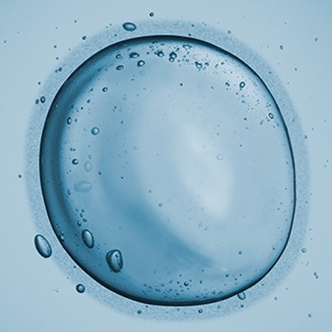 Hyaluronique ingredient image