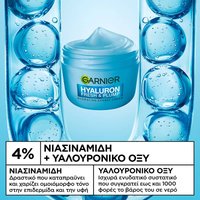 Hyaluron Fresh & Plump Sorbet Cream συστατικά