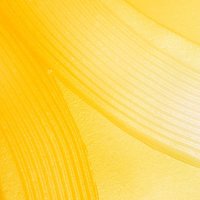 Vitamin C Βιταμίνη C