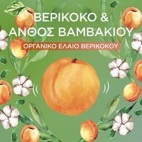 Παιδικό Σαμπουάν 2 σε 1 με Βερίκοκο & Άνθος Βαμβακιού Συστατικά