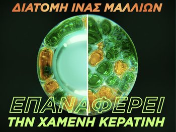 Damage Eraser: Επανόρθωση Κερατίνης των Μαλλιών