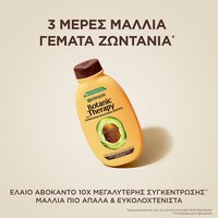 Avocado Σαμπουάν για Φριζαρισμένα Μαλλιά