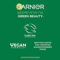 Green Beauty Garnier