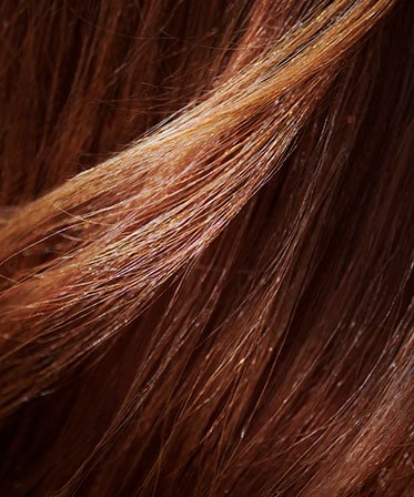 Botanic Therapy Honey Treasures Solid Shampoos Hair Image