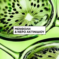 Garnier Fructis Hair Food με ακτινίδιο και μενθόλη