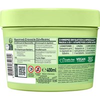 Garnier Fructis Hair Food με ακτινίδιο συστατικά