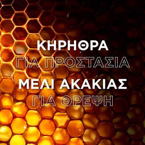 Μάσκα Επανόρθωσης Μαλλιών Honey Treasures