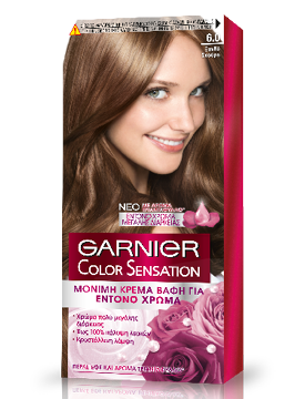 6.0 Ξανθό Σκούρο Color Sensation | Garnier