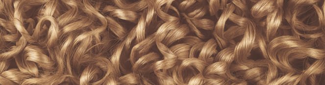 7.13 Olia Reno Swatch