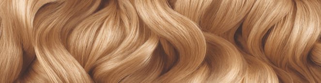 8.31 Olia Reno Swatch